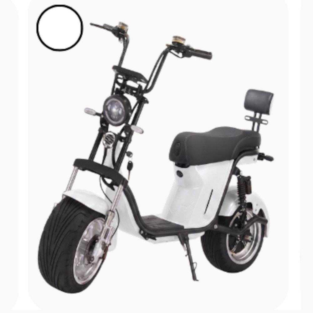 Autopropelido T-Bike T-Harley 1000W
