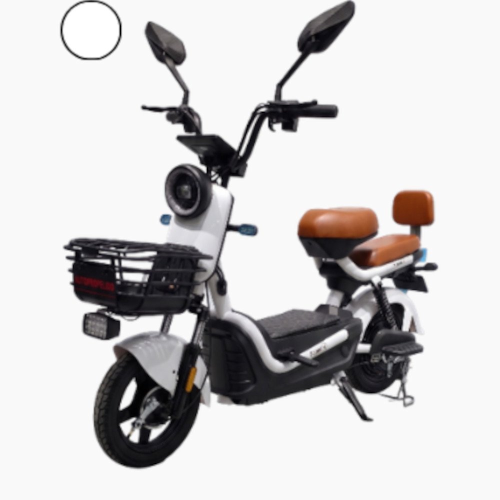 Propelido T-Bike Modelo T1000